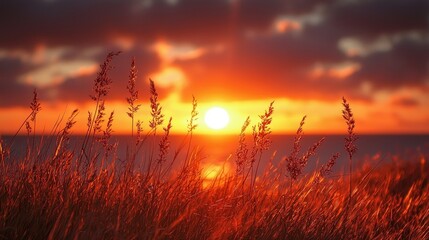 Vibrant Sunset Over Ocean With Red Grass