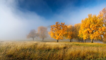 autumn landscape yellow trees in fog on the meadow