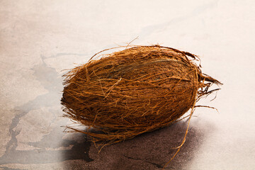 Natural exotic brown hairy coconut