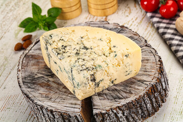 Gourmet blue cheese with mold