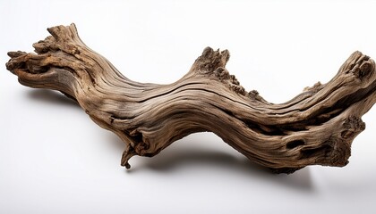 gnarled branch of weathered driftwood isolated on white background