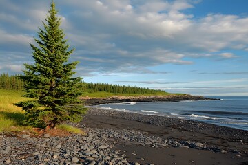 Serene Coastal Landscape,  Evergreen Tree on Rocky Beach