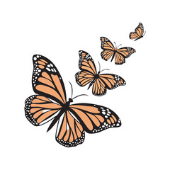 Set of butterflies isolated vector art