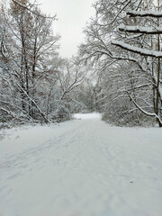 Obraz premium A snow covered path in the middle of a snowy forest