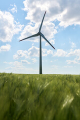 Fototapeta premium Wind turbine stands tall in lush green wheat field beneath bright blue sky with fluffy white clouds scattered above
