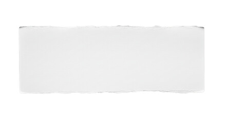 Paper sheet torn edge blank — transparent background