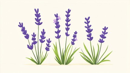 Naklejka premium A cluster of lilac blooms resting atop a pristine background beside a verdant foliage