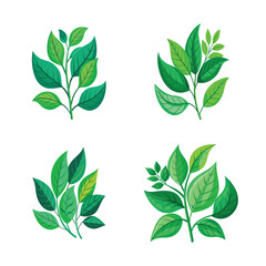 Set of green leaf isolated on white background
