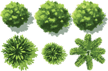 Vector top view set of green trees, tropical plants, and blooming spring flowers for outdoor map and garden architecture design