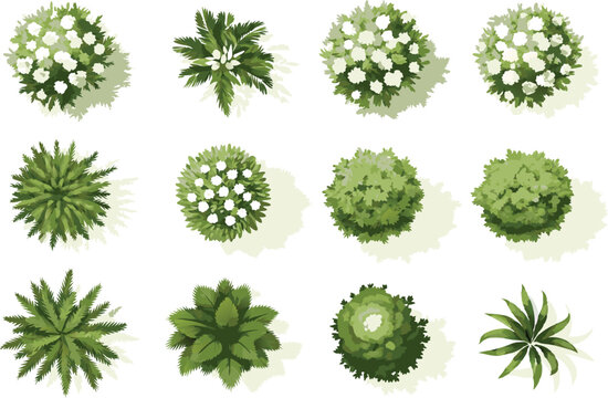 Vector top view set of green trees, tropical plants, and blooming spring flowers for outdoor map and garden architecture design