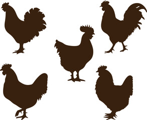 chicken bird hand drawn silhouette art