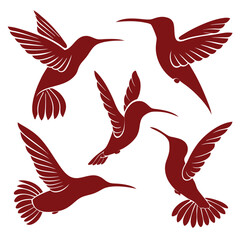 hummingbird hand drawn vector illustration