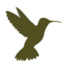 hummingbird vector illustration in flight