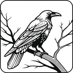 vector illustration of a bird
