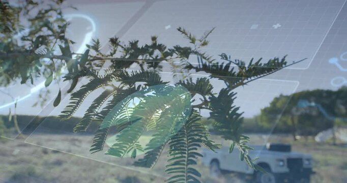 Fern-like branch undergoing scanning with holographic panels overlaying rural grassland 3D render