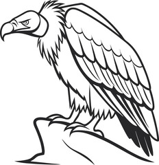 eagle on a white background