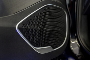 Sound speaker in a modern car door panel. © bo.kvk