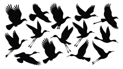 Obraz premium A collection of black silhouettes of birds, likely ibis or similar wading birds, in various flight positions against a pure white background
