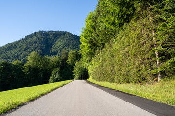 Road with trees and mountains in summer