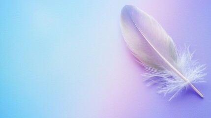 Obraz premium Heavenly Healing Feather on Vibrant Multi-Colored Background - Top View Perspective