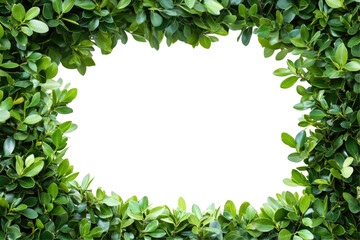 Lush Green Leafy Frame with Blank Center for Creative Use in Nature-Themed Design Projects on transparent background