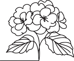 Minimalist Begonia Flower Drawing on White Background