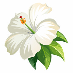 white flower on a white background