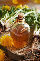 A bottle of dandelion root tincture on a table © Madeleine Steinbach