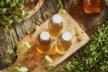 Bottles of homemade herbal tincture made of fresh blooming shepherd's purse plant