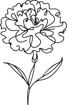 recommend clip art: Carnation Flower Line Drawing on White Background