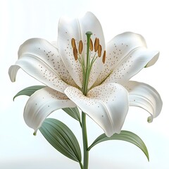 Elegant White Lily Rendered in 3D with Golden Flower Stamens
