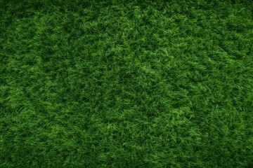 A close-up shot of lush green grass, showing the texture and detail of the blades.