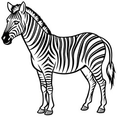 Obraz premium Zebra Line Art
