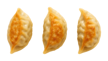 gyoza, jiaozi, asia, food, dumplings, fried, steamed, dough, isolated on transparent background, cutout, png file
