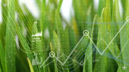 Macro grass blades being covered in dew and being overlaid with colored contour lines and charts - Powered by Adobe