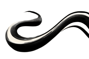 Abstrakter schwarzer Pinselstrich Schwungform PNG mit transparentem Hintergrund

