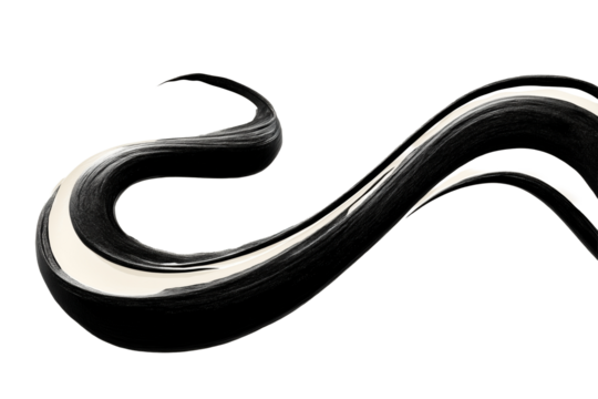 Abstrakter schwarzer Pinselstrich Schwungform PNG mit transparentem Hintergrund

