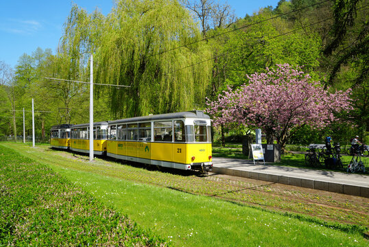 Bad Schandau, Germany, Spa Park and the Station of the historical Kirnitzschtalbahn