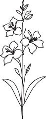 Lobelia flower simple line drawing on white