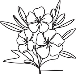 Delicate Oleander flower sketch on white background