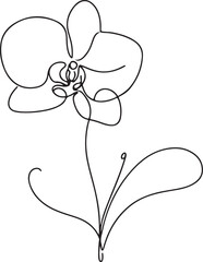 Graceful Orchid flower icon line sketch on white