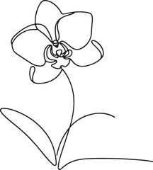 Minimalist Orchid flower icon drawing on white