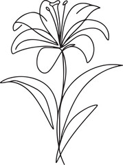 Elegant line art of Lily flower icon on white