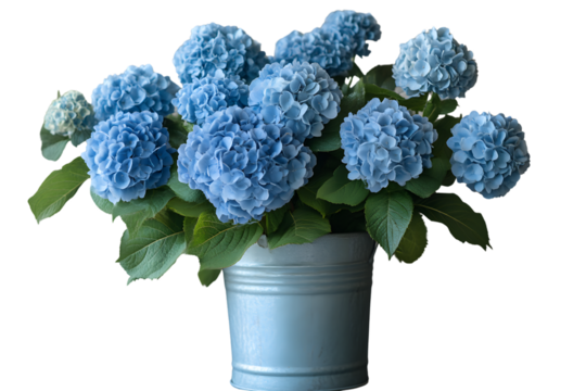 Blue Hydrangea Bouquet in a Light Blue Vase Floral Arrangement Garden Flowers Home Decor Bo