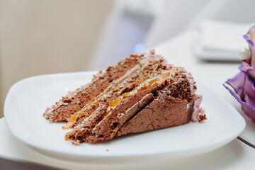 piece of chocolate cake on plate