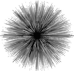 Naklejka premium Abstract black radial lines emanating from a central point, explosive design. Vector illustration
