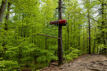 Extreme rope park in an alpine forest