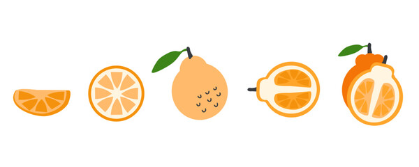 Hallabong orange tangerine fruit half vector collection. Perfect art for stickers, poster, label, sale, card. Hand drawn illustration for decor and design.