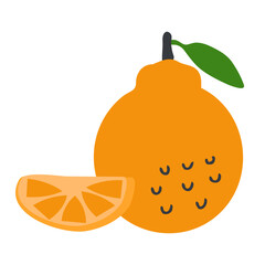 Japanese dekopon korean hallabong citrus fruit. Perfect for stickers, poster, label, sale, card. Hand drawn vector illustration isolated on a white background.