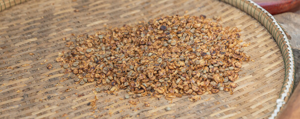 Process drip coffee, Barista start chose coffee bean and Roasting. Barista making drip coffee by pouring spills hot water on coffee ground with prepare filter from copper pot to glass transparent drip